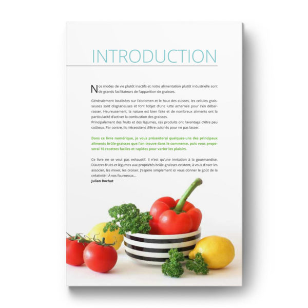 Introduction de l'Ebook recettes brûle-graisse