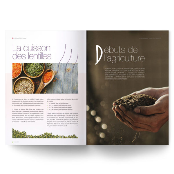 Magazine spécial lentilles : cuisson, recettes, bienfaits nutritionnels...