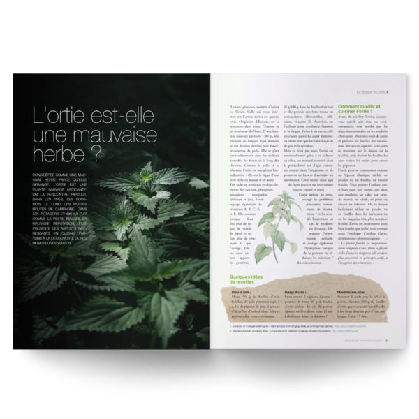 Les herbes en cuisine (fanes, mauvaises herbes, herbes des champs)